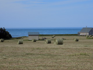 bales of hay in a field with ocean background