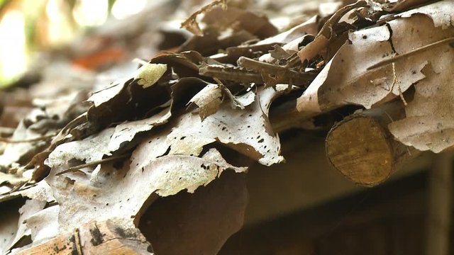 A hand held, extreme close up shot of many dry leaves sitting on the ground.