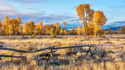 Fleecedeken met foto Herfst An autumn landscape scene in Jackson Hole, Wyoming, including an old style buck and rail wooden ranch fence and colorful aspen trees in early morning light.  © Cheryl Ramalho