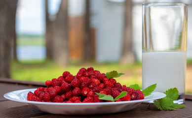 Natural nutrition without heat treatment. Wild strawberries in plate and glass of fresh milk. Vitamin breakfast.