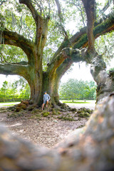 Tree of Life New Orleans