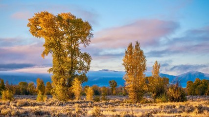 A beautiful autumn landscape in Grand Teton National Park, Jackson Hole, Wyoming.