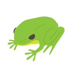 カエル