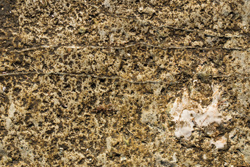 Rock plate. Colored stone surface. Wall of the house. Geology and Metamorphic rocks.