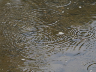 Puddle in rain