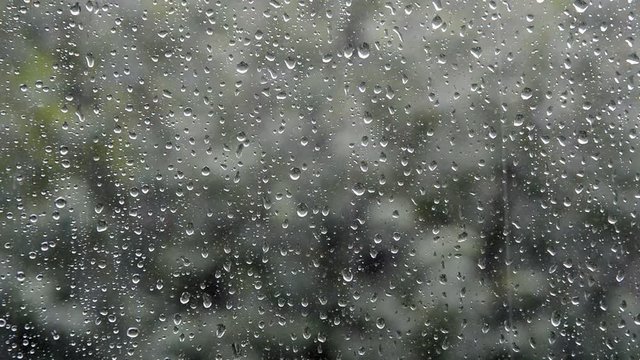 strong rain water drops fall and flow outside house glass window on cold autumn evening weather and green trees blur background, selective focus of closeup full hd stock video footage in real time