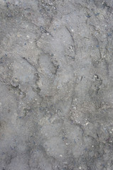 Grey concrete background