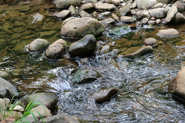 Fototapeta premium stones in water