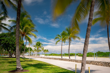 View of Miami Beach in the summer. Long exposure motion blur in palm trees and clouds