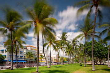 Obraz na płótnie Canvas Long exposure photo Miami Beach Florida Ocean Drive and Lummus Park palm trees
