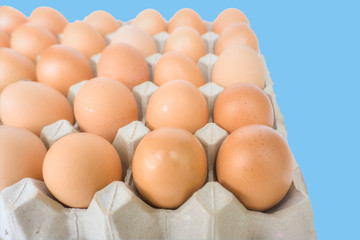 Close-up fresh and raw brown chicken eggs in egg box isolated on white background with copy space. Organic eggs.Natural healthy food and organic farming concept. Clipping path.