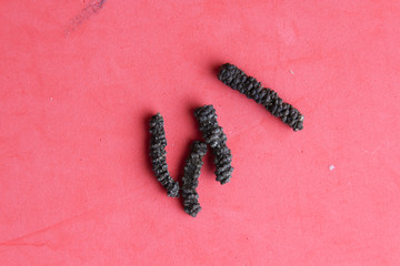 Long peppercorns for cooking and cocktails