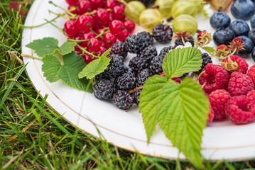 different kinds on berries on white plate