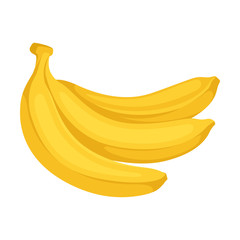 Three bananas in a peel. Vector illustration on a white background.