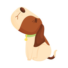 Cute beagle sits looking up. Vector illustration on a white background.