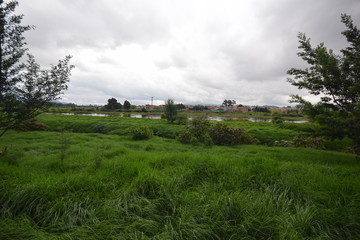 wetlands colombia humedales bogota