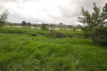 wetlands colombia humedales bogota