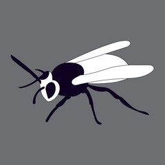 vector, isolated, icon, on a gray background bee, wasp