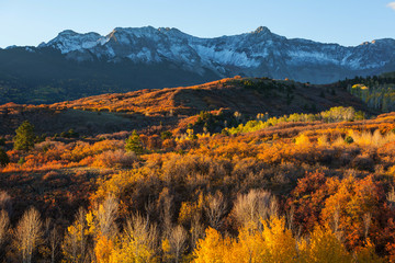 Obraz premium Autumn in Colorado
