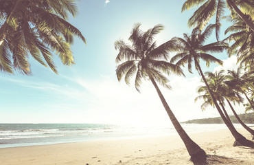 Obraz premium Tropical beach
