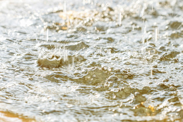Raindrops falling on the surface of the water.