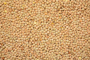 Organic green lentils background, view from above. Close-up.