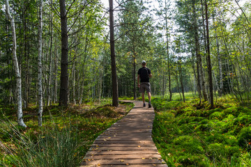 Fototapeta premium Young man walking on wood path in white cap and shorts in heath landscape, Soumarske heath Czech republic