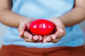 Closeup of a girl hand holding a red heart. The concept of love.