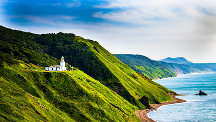 The coast of the island of Sakhalin.