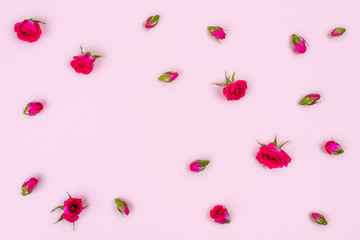 Beautiful roses on pink background, top view.