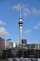 Fototapeta na wymiar City view of Auckland in New Zealand