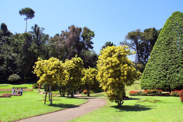 Royal Botanical garden Peradeniya, Sri Lanka