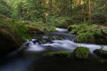 beautiful natural river stream motion water in the forest with moss rocks trees