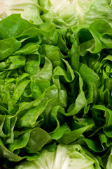 Closeup of italian fresh salad in a market