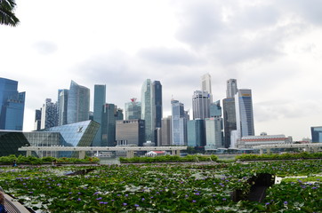 Fototapeta premium Singapur