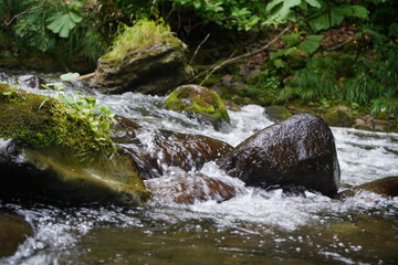 渓流