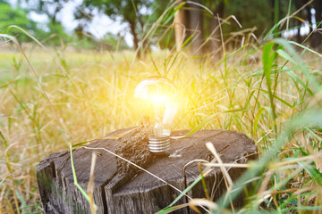 Burning light bulb on a stump, wireless energy, ecology and cleanliness.