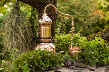 Alembic is a distilling apparatus of Arabic origin which may be used to distill essential oils and a variety of alcoholic beverages. Artemisia abisinthium  distillation.