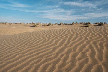 Fototapeta na wymiar Thar desert