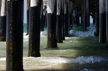 Long row of poles under Newport Beach Pier