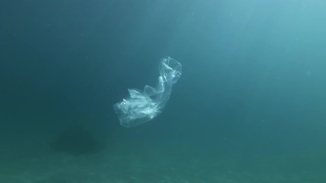 Plastic pollution, Transparent plastic bag swims with school of Big-scale sand smelt (Atherina boyeri) in the bue water. Discarded plastic garbage slowly drifting under surface of blue water in sunray