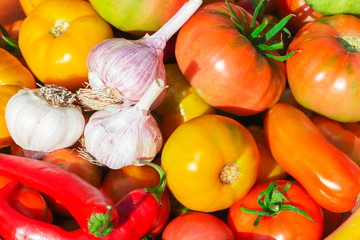 fresh vegetables from the garden - tomatoes, garlic and peppers.