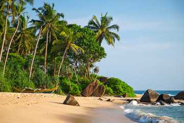  Beautiful beach with palm trees and boulders on the tropical island of Sri Lanka. 