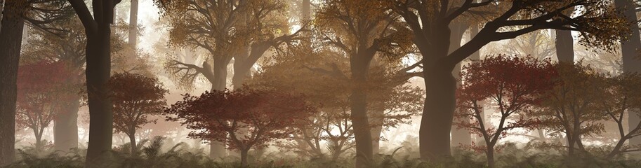 Autumn landscape. Panorama of the autumn park. Autumn trees in the morning in the fog. 
