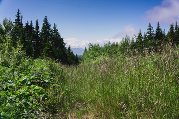 Hiking in the national Park Taganay- mountains, rivers, lakes