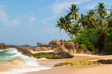  Beautiful beach with palm trees and boulders on the tropical island of Sri Lanka. 
