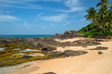  Beautiful beach with palm trees and boulders on the tropical island of Sri Lanka. 