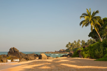  Beautiful beach with palm trees and boulders on the tropical island of Sri Lanka. 