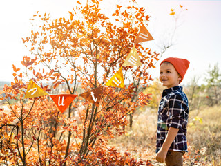 Thanksgiving day autumn decoration.
