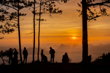 Silhouette image of trees and people at sunrise, Phu Kradueng, Thailand
